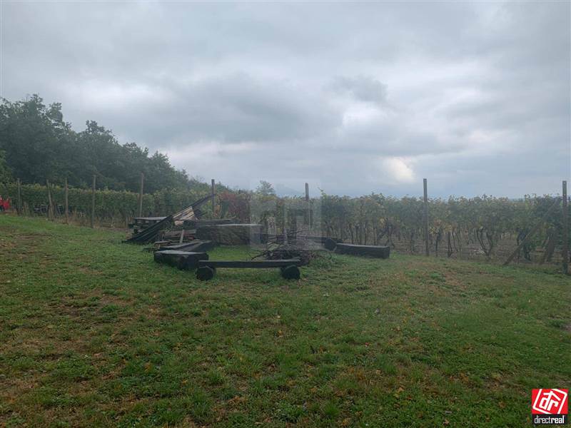 Pozemky
                - záhrada
                - Predaj                - REZERVOVANÉ Na PREDAJ rekreačný pozemok s obrábaným viničom a záhradnou chatkou