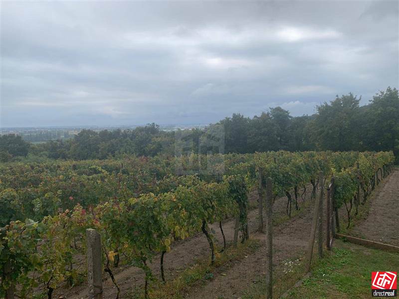 Pozemky
                - záhrada
                - Predaj                - REZERVOVANÉ Na PREDAJ rekreačný pozemok s obrábaným viničom a záhradnou chatkou