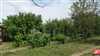 Pozemky
                - záhrada
                - Predaj                - Udržiavaný pozemok o veľkosti 385 m2 s chatkou, nové el.rozvody, vŕtaná studňa,mesto D.Streda