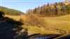 BRIEŠTIE- Hadviga lesný pozemok 13 710 m2, okr. Turčianske Teplice