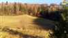 BRIEŠTIE- Hadviga lesný pozemok 13 710 m2, okr. Turčianske Teplice