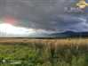 TURANY-stavebný pozemok o výmere 793 m2