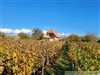 Znížená cena-Chata na predaj vo vinohradníckej oblasti, vhodná aj na trvalé bývanie pri Vrábloch