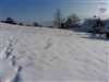 Predaj pozemku 1612 m2, Zázrivá