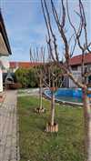 Predaj domu 77 m2, Rajka