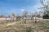 Predaj domu 140 m2, Sasinkovo
