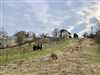 Predaj pozemku 2054 m2, Marianka