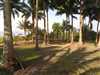 Predaj pozemku 800 m2, Caracas