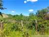 Pôvodná viničná chatka na rovinatom pozemku na vinohrade v obci Kamenný Most len 7 km od Štúrova