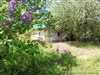 Pôvabná chalupa v Humennom s rozprávkovou záhradou