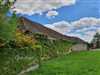 Predaj pozemku 2560 m2, Tesárske Mlyňany