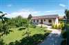 Predaj domu 230 m2, Blatné