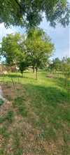 Predaj domu 80 m2, Mojmírovce