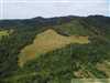 Exkluzívny pozemok s očarujúcou panorámou nad obcou Osadné - 8.64 ha