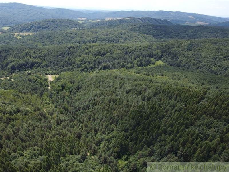 Na predaj les - lesný pozemok 6,75 ha - Osadné
