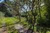 Predaj chaty 57 m2, Stupava