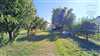 Predaj domu 320 m2, Dubová