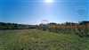 Predaj domu 320 m2, Dubová
