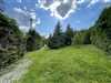 Predaj chaty 220 m2, Osrblie