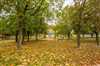 Predaj bytu (1 izbový) 36 m2, Šamorín