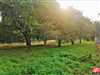 Pozemky
                - záhrada
                - Predaj                - Slnečný pozemok s výhľadom na hrad Pajštún v samotnom srdci prírody, Borinka